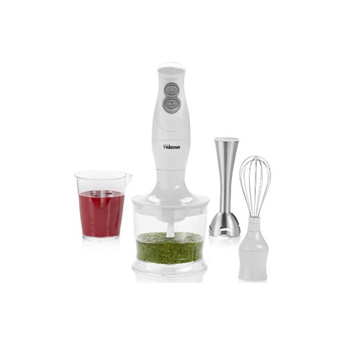 Mixer plongeant pied inox 3 en 1