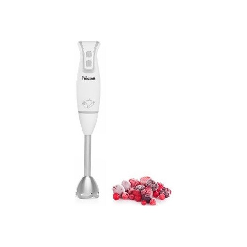 Mixeur plongeant pied inox